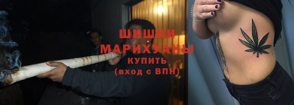 крисы Покачи