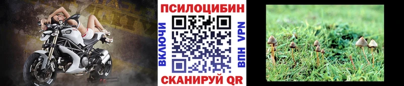 цена наркотик  Уржум  Галлюциногенные грибы MAGIC MUSHROOMS 